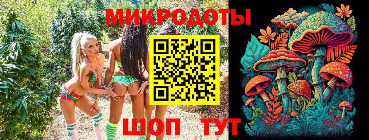 Псилоцибиновые грибы мицелий Сальск