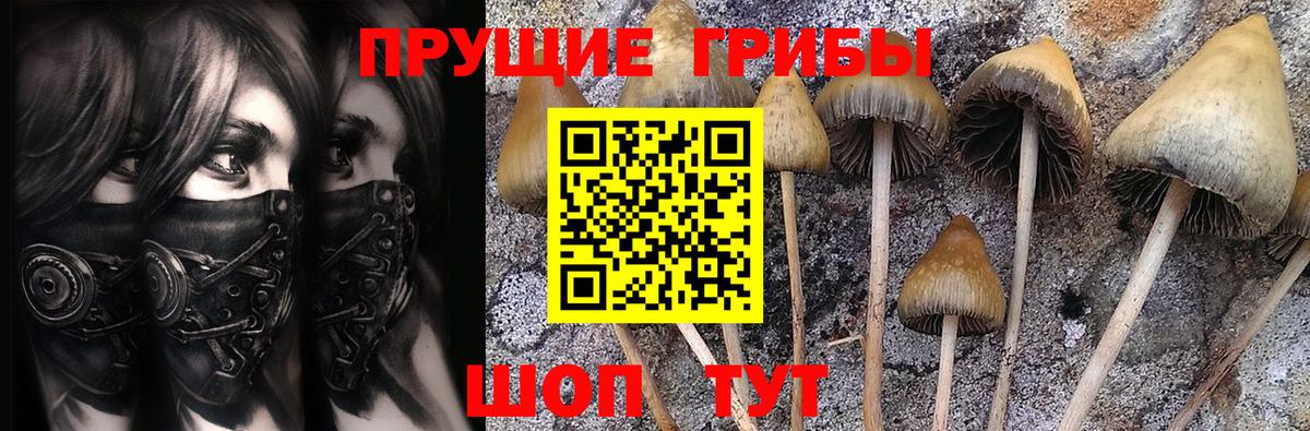 Галлюциногенные грибы ЛСД  Вход с VPN  Сальск 
